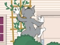 Lojë Tom dhe Jerry: Wasserbomben Wahnsinn  në internet