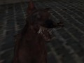 Lojë Ushtria naziste e zombies  në internet