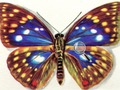 Lojë Ndryshimet Butterflies  në internet