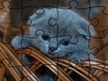 Lojë Jigsaw Puzzle: macet  në internet