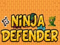 Lojë Mbrojtësi i Ninjas  në internet