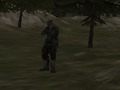 Lojë FPS: Pyll  në internet