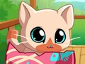Lojë Cat mia Pocket Pets Kitty  në internet