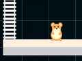 Lojë Hamster i zgjuar: çift dhe tek  në internet