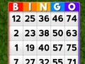 Lojë Bingo në internet