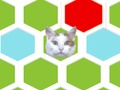 Lojë Trap Cat  në internet