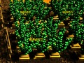 Lojë Fermë pixel në internet