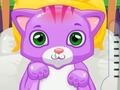 Lojë Doktor Cat  në internet