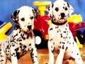 Lojë Puzzles Puppy Puzzle  në internet