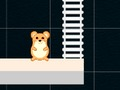Lojë Koha e zgjuar e Hamsterit  në internet