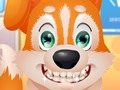 Lojë Cute dentist qenush  në internet