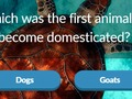 Lojë Trivia e Kafshëve  në internet