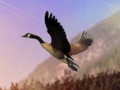 Lojë Gjuetar duck  në internet