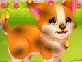 Lojë Pet shpëtimit qesharake  në internet