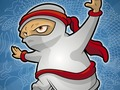 Lojë Ninja e jetës dhe vdekjes  në internet
