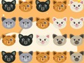 Lojë Ndeshja Cute Kitty 3  në internet
