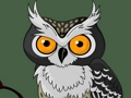 Lojë Kujtim Cute Owl  në internet