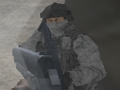 Lojë Grevë kundër terrorizmit  në internet
