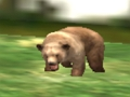 Lojë Hunter Animal Kafshëve  në internet