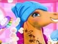 Lojë Aventurë e Kujdesit për Fairy Pony  në internet
