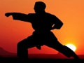 Lojë Karate Sunset Warriors në internet