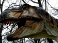 Lojë Bashkim pjesësh figure Dinosaur T-Rex  në internet