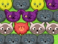 Lojë Kitty pop-pop  në internet