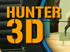 Lojë Hunter 3D në internet