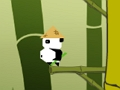 Lojë Kërce Panda  në internet