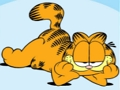 Lojë Koleksioni i Jigsaw Puzzle me Garfield  në internet