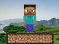 Lojë Mbijetesa në Minecraft  në internet