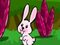 Lojë Hopping Rabbit arratisjes  në internet