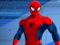 Lojë Spiderman Kill Zombies në internet