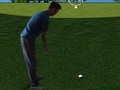 Lojë Flash Golf 3D  në internet