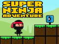 Lojë Super Aventurë Ninja  në internet