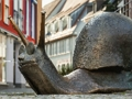 Lojë Skulpturë Kërmill Jigsaw  në internet