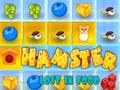 Lojë Hamster i humbur në ushqim  në internet