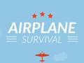 Lojë Mbijetesa në aeroplan  në internet