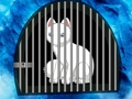 Lojë Arratisja nga Snow Fox  në internet