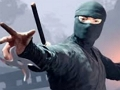 Lojë Prekni Ninja  në internet