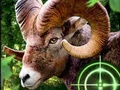 Lojë Gjuetari i Crazy Goat Hunter 2020  në internet