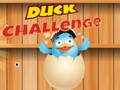 Lojë Sfida e Duck në internet