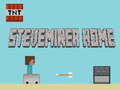 Lojë Shtëpia Steveminer  në internet