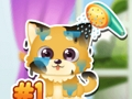 Lojë Kujdesi Funny Puppy  në internet