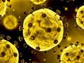 Lojë Slide Coronavirus  në internet