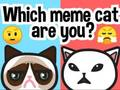Lojë Cila mace meme jeni ju?  në internet