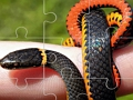 Lojë Puzzle gjarpërinjsh  në internet