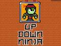 Lojë Lart Poshtë Ninja  në internet