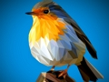 Lojë Bashkim pjesësh figure Poly Birds  në internet
