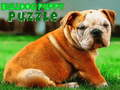 Lojë Puzzle qenush Bulldog  në internet
